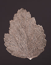 Set of 6 Rose Gold Lace Leaf Table Mats – Elegant Nature-Inspired Placemats